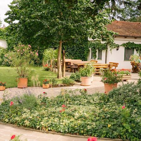 Hotel-Restaurant-Vinothek Felix Sommer Auersthal المظهر الخارجي الصورة