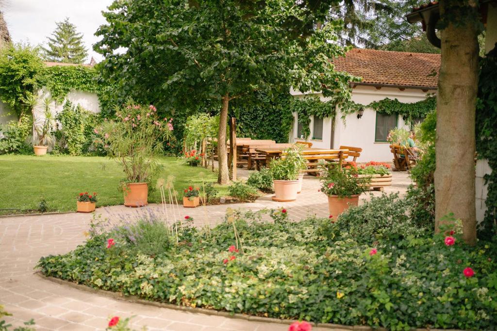 Hotel-Restaurant-Vinothek Felix Sommer Auersthal المظهر الخارجي الصورة